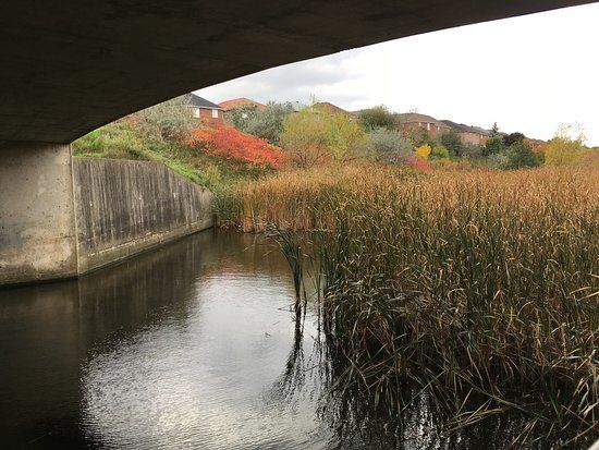 Lisgar Meadow Brook Trail